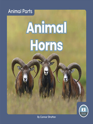 cover image of Animal Horns